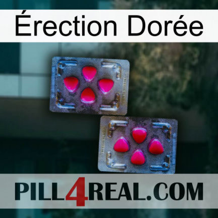 Érection Dorée 15